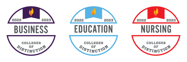 official badges awarding distinction to S-B-U business, education and nursing programs