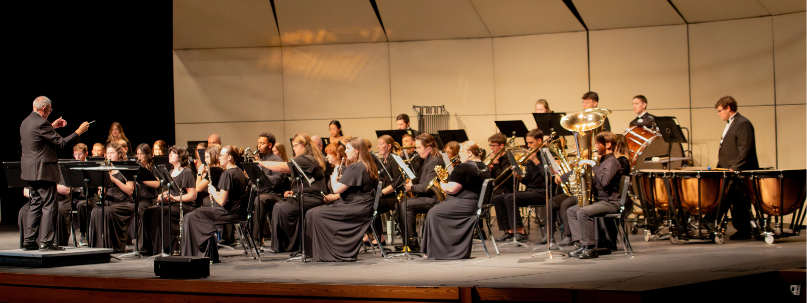 orchestra concert