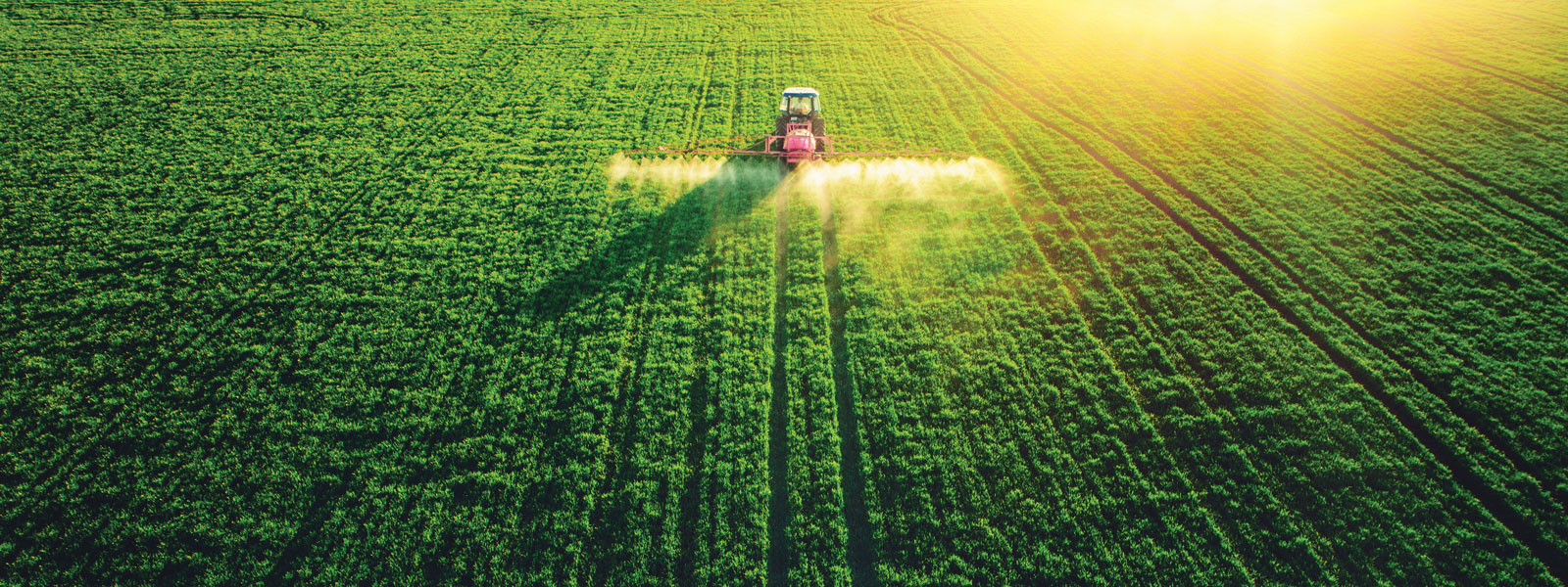 aerial view of field being harvested