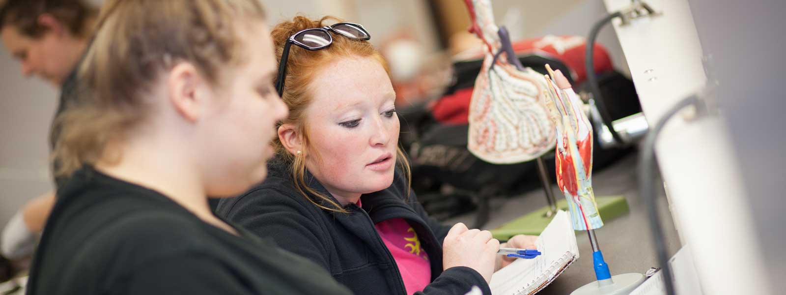 nursing students examine human anatomy models