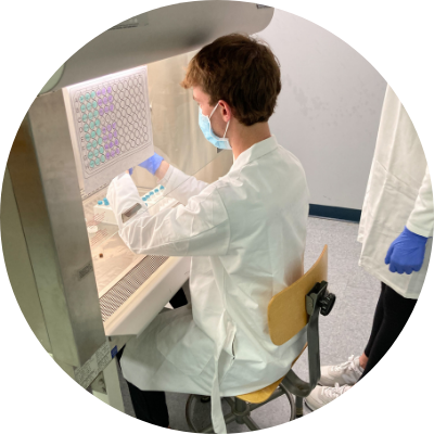 SBU Students working with HeLa Cells in lab